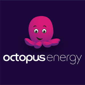 Free Octopus Agile Battery & Solar Calculator: 5 Batteries Tested